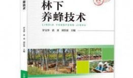 养蜂技术爆料视频